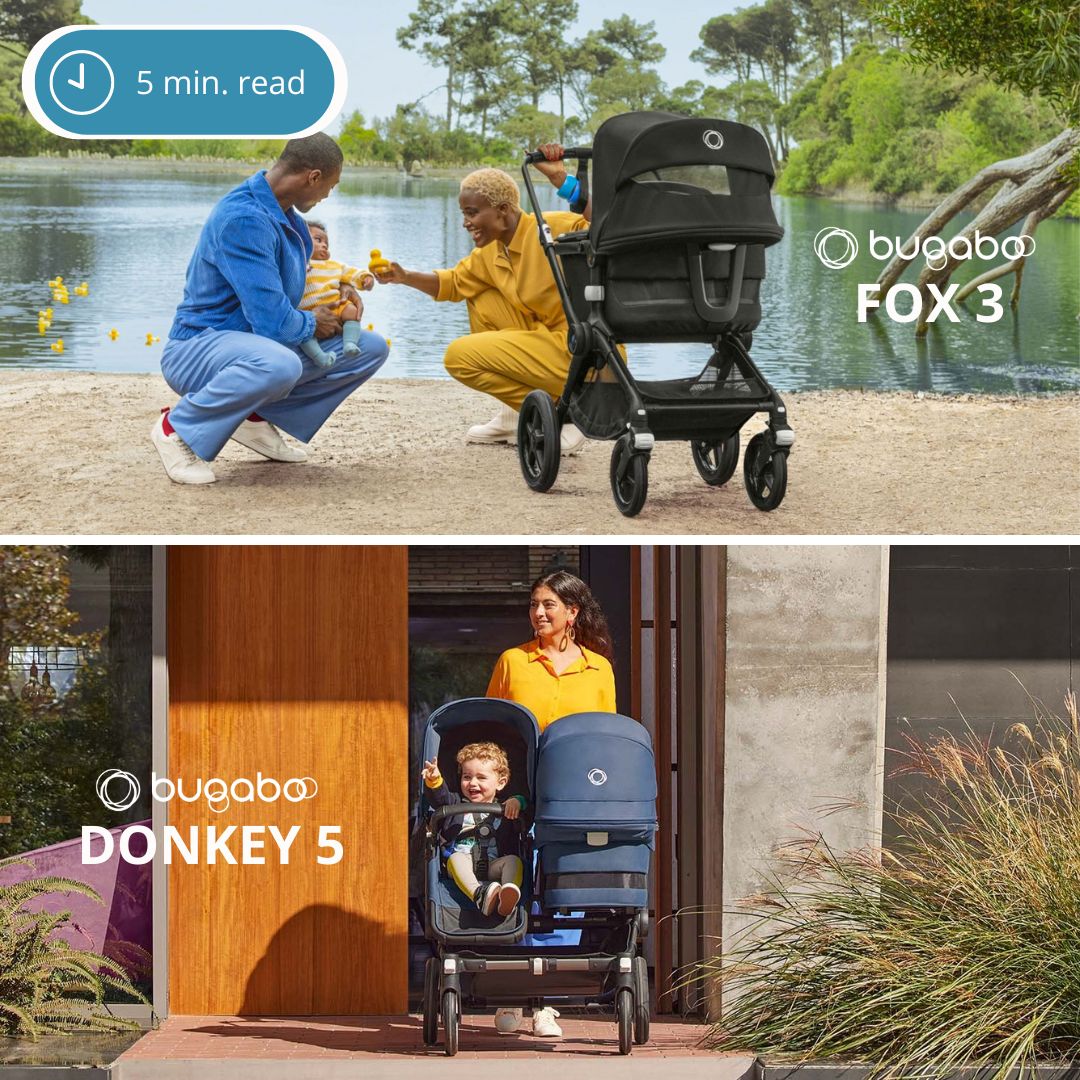Bugaboo Stroller Review - This or That?