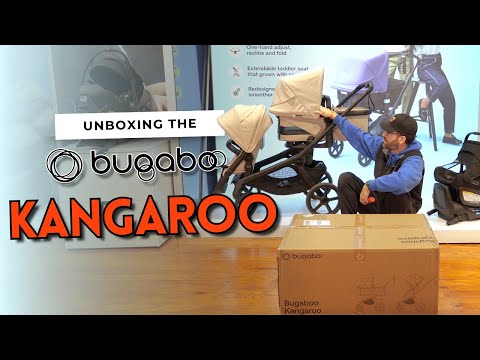 Cochecito completo Bugaboo Kangaroo - Bambi Baby
