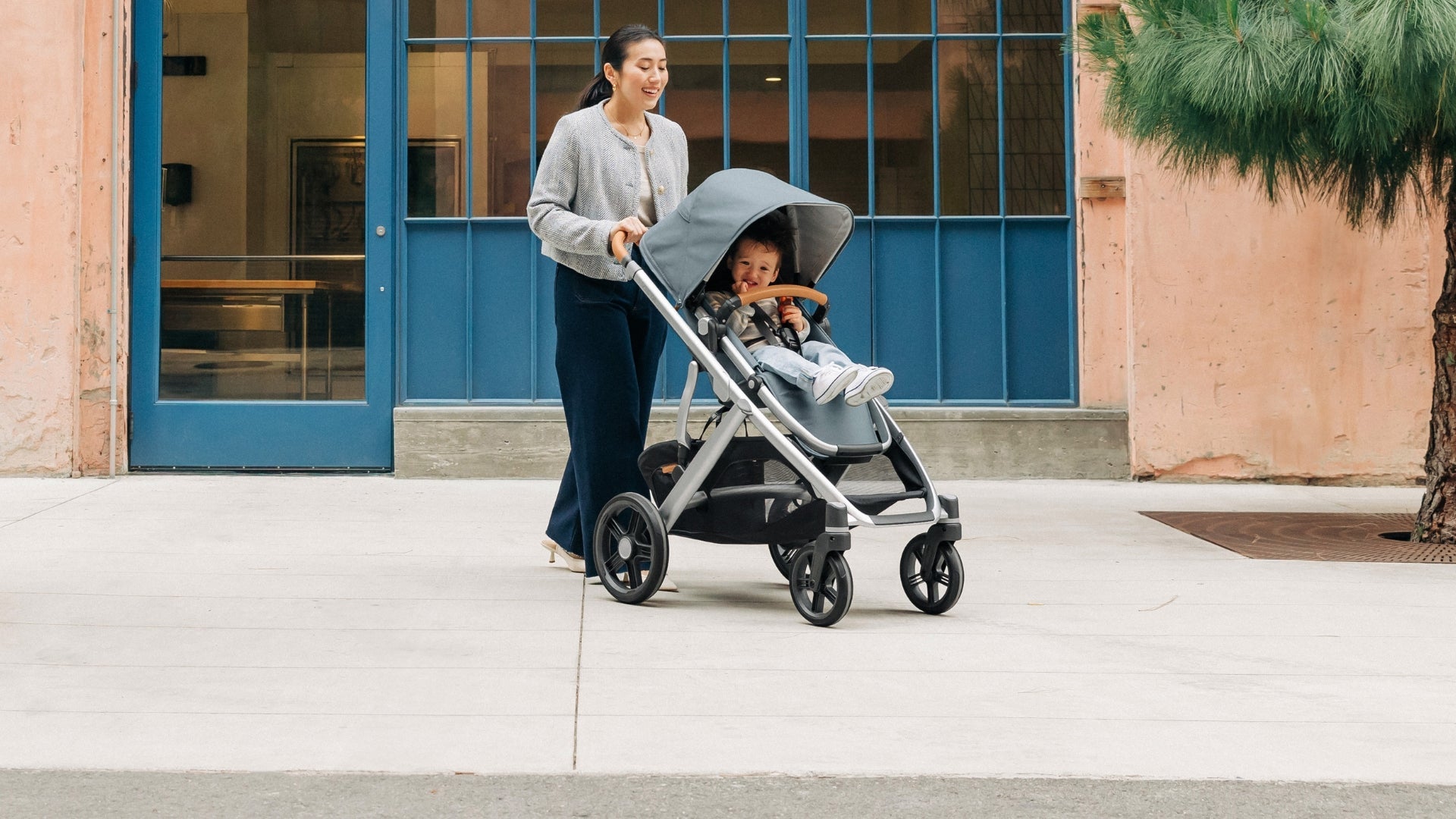 UPPAbaby  Vista V3