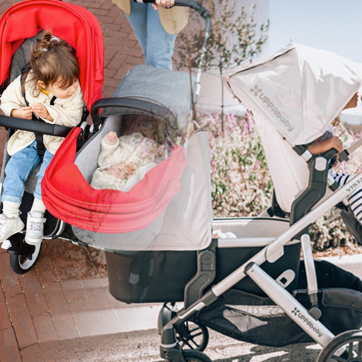 Instagram: UPPAbaby Vista Vs. Bugaboo Donkey Double Stroller