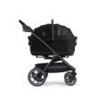 Tavo Maeve Iso Wind + Roscoe Trek - Bambi Baby