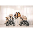 UPPAbaby Vista V3 Stroller - Bambi Baby