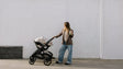 UPPAbaby Vista V3 Stroller - Bambi Baby