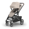 UPPAbaby Cruz V3 Stroller - Bambi Baby