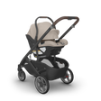 UPPAbaby Cruz V3 Stroller - Bambi Baby