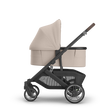 UPPAbaby Cruz V3 Stroller - Bambi Baby