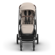 UPPAbaby Cruz V3 Stroller - Bambi Baby