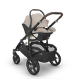 Asiento infantil para coche UPPAbaby Aria® V2 - Bambi Baby