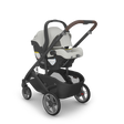 Cochecito UPPAbaby Cruz V3 - Bambi Baby