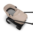 Bugaboo Dragonfly Plus Seat/Bassinet Complete - Bambi Baby