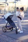 UPPAbaby Ridge V2 Stroller - Bambi Baby