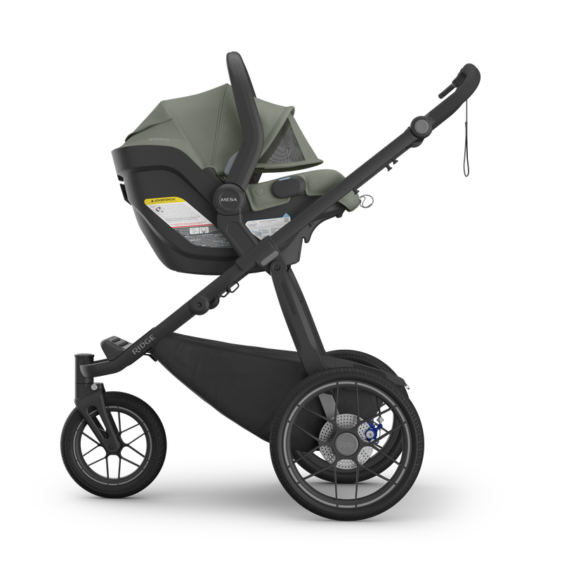 rei uppababy Ridge V2 Stroller Evelyn (Meadow Green)