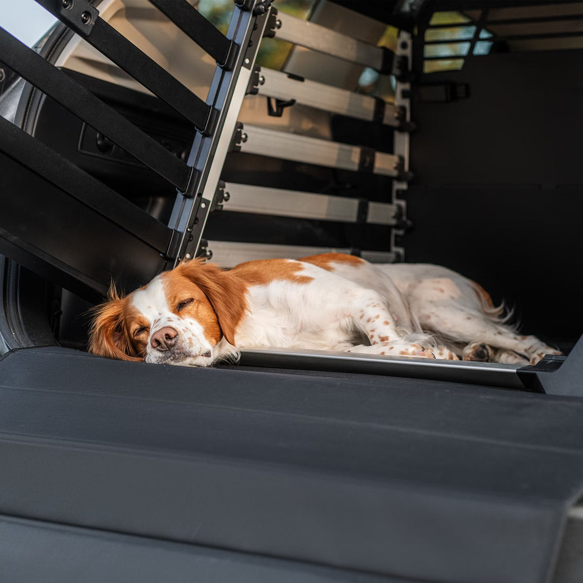 Thule Dog Mat- Bambi Baby