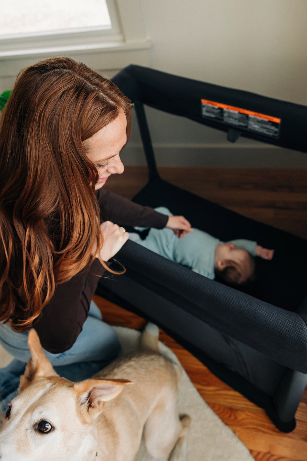 UPPAbaby Remi V2 Playard- Bambi Baby