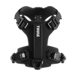 Thule Dart Harness - Bambi Baby