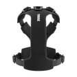 Thule Dart Harness - Bambi Baby