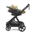 Thule Charm Car Seat Adapters - Bambi Baby