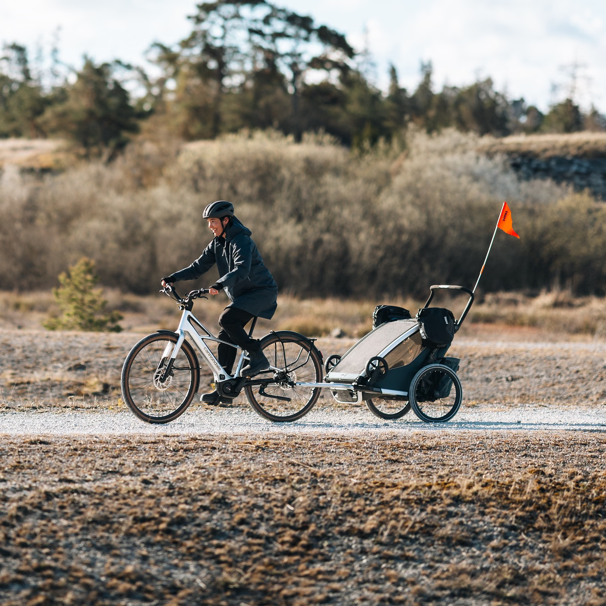 Thule Chariot 2 Bag Adapter- Bambi Baby