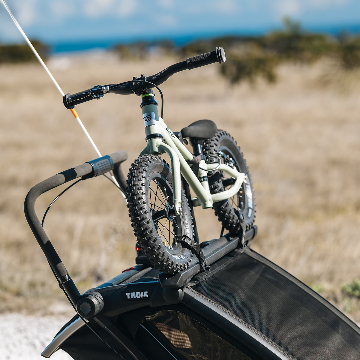 Thule Chariot 2 Bike Holder- Bambi Baby