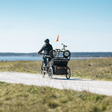 Thule Chariot 2 Bike Holder - Bambi Baby