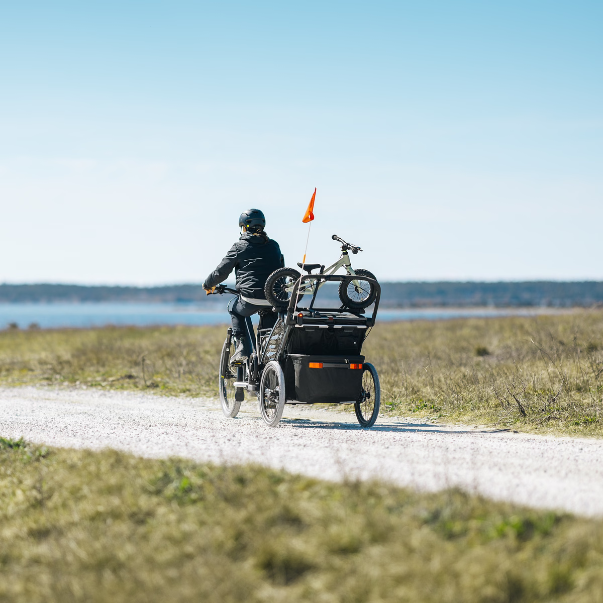 Thule Chariot 2 Bike Holder- Bambi Baby