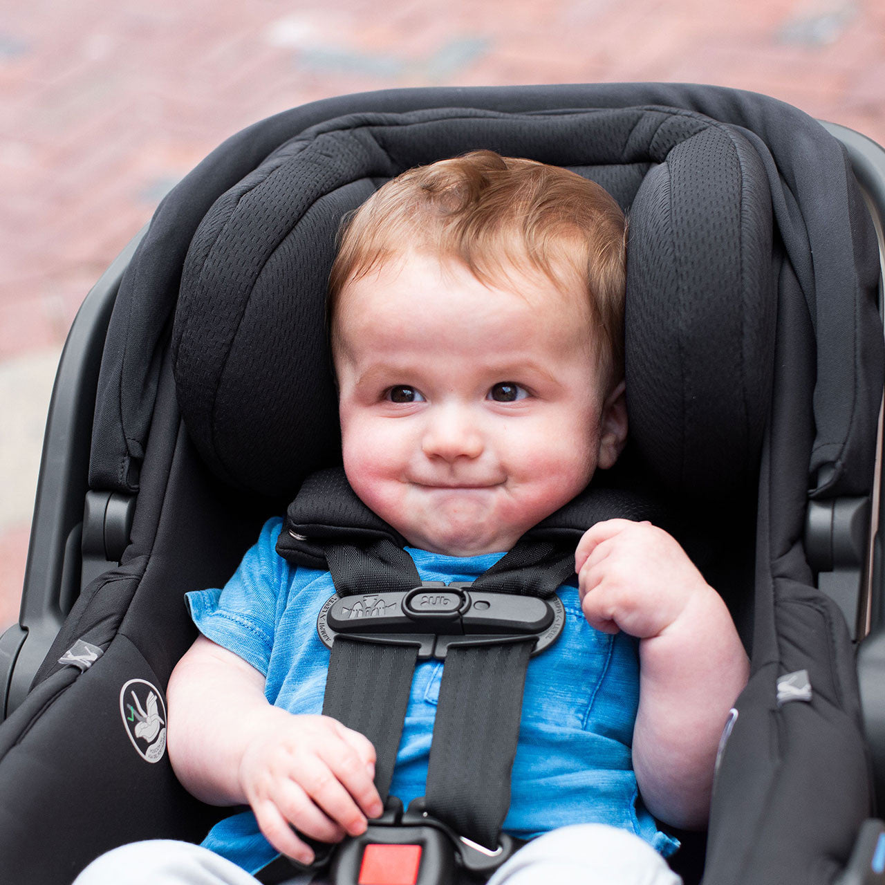 UPPAbaby MESA V2 Infant Car Seat- Bambi Baby