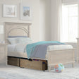 Westwood Leland Youth Under Bed Storage Drawer (2) In Sandwash - Bambi Baby