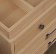 Sorelle Luce Double Dresser - Bambi Baby