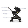 Nuna PIPA™ urbn Flex System™ In Caviar - Bambi Baby