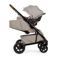 Nuna TAVO Next Stroller - Bambi Baby