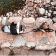 Thule Reacha Sport - Bambi Baby