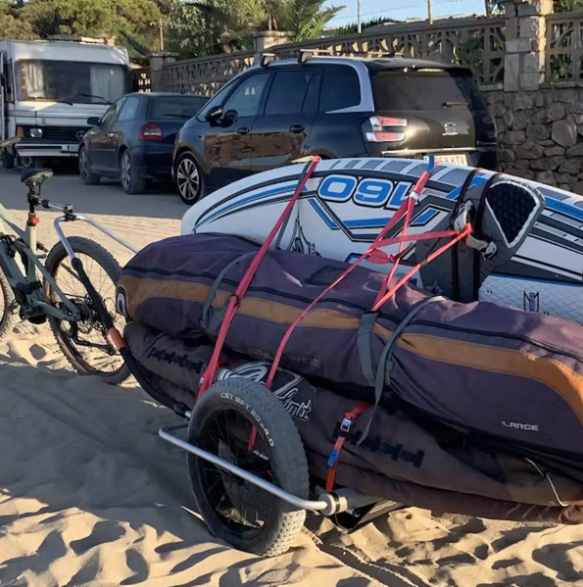Thule Reacha Sport Beach- Bambi Baby