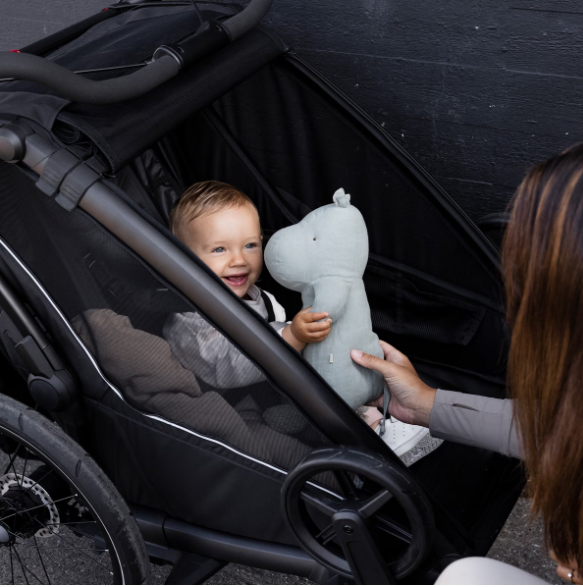 Thule Chariot Sport 2 Double- Bambi Baby