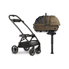 Tavo Maeve + Roscoe 3-IN-1 Pet Protection System, Medium Rigid in Brindle