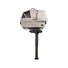Tavo Maeve Pet Protection System, Small Flex in Fawn