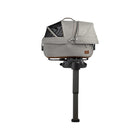 Tavo Maeve Pet Protection System, Small Flex in Merle