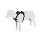 Black Thule Cappy Dog Car Harness - On Model Three Quarter Front View | Bambi Baby