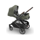 UPPAbaby Cruz V3 Stroller