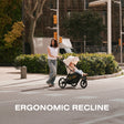 Cochecito CYBEX Avi Spin - Bambi Baby