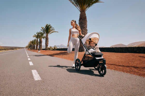 CYBEX Avi Spin Stroller- Bambi Baby
