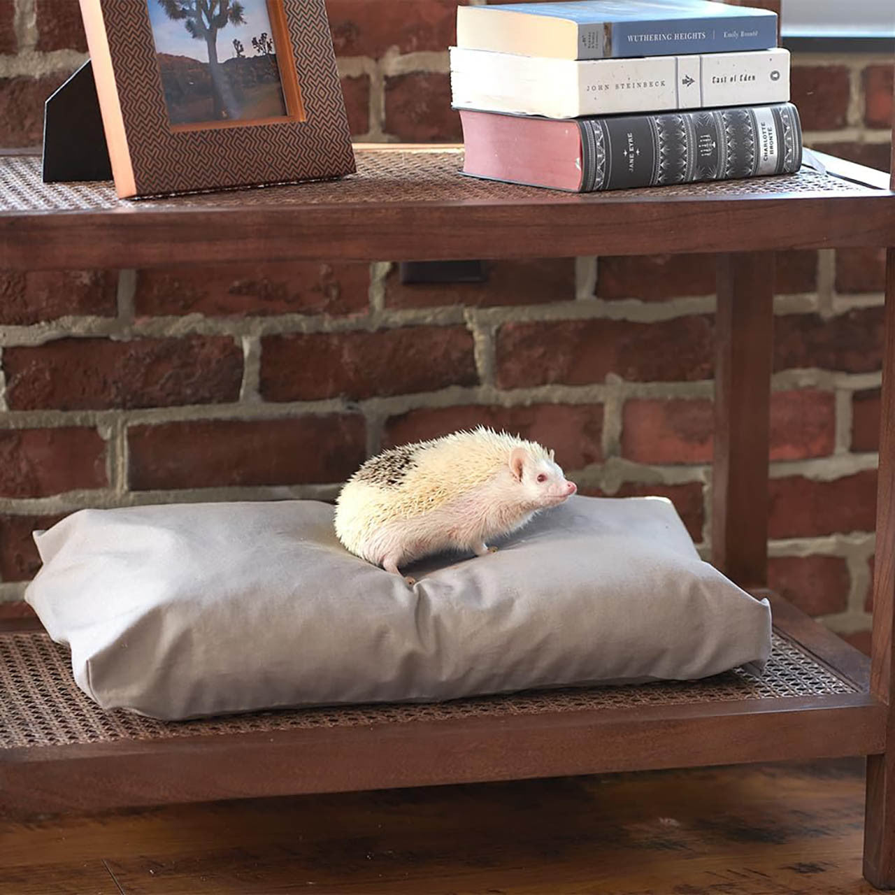 Naturepedic Pet Bed M 30" Waterprooof Cover - Taupe- Bambi Baby