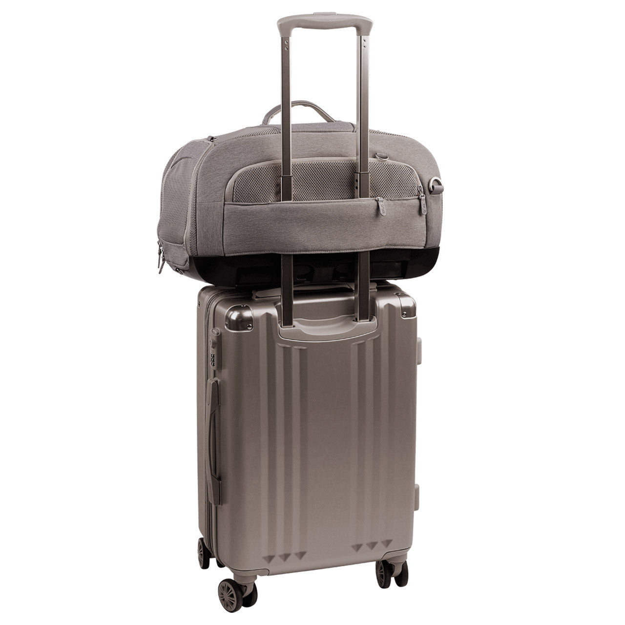 Tavo Dupree II Airline Carry-on Pet Car Seat in Merle – Bambi Baby