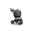 Tavo Maeve Iso Wind + Roscoe Trek - Bambi Baby