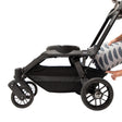 Orbit Baby Stroll & Ride Travel System - Bambi Baby