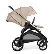 Inglesina Aptica Stroller & Bassinet + Stand - Bambi Baby