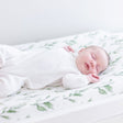 Crane Baby Parker Changing Pad Cover - Bambi Baby