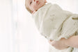 Crane Baby Avery Organic Cotton Bunny Single Swaddle - White - Bambi Baby