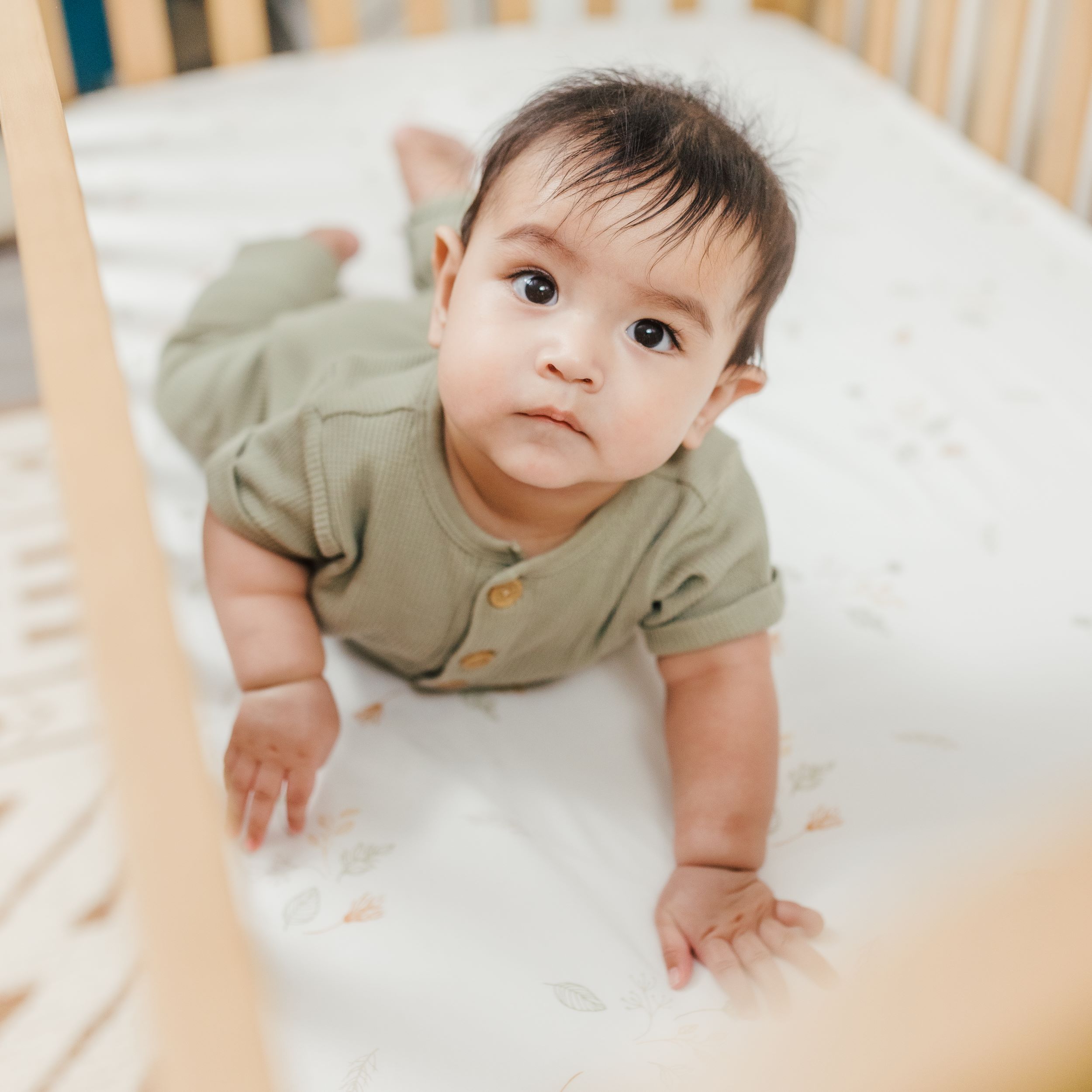 Crane Baby - Bambi Baby