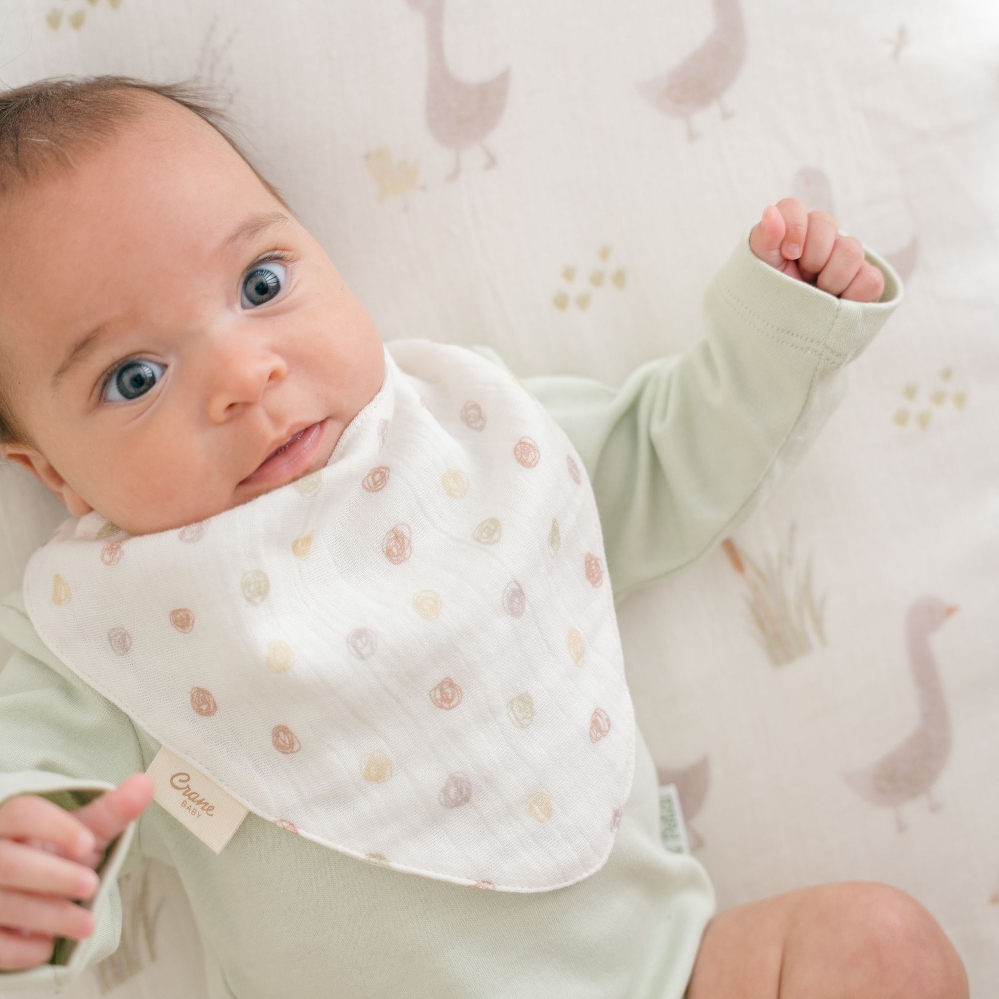 Crane Baby 3-pc Bib Set- Bambi Baby