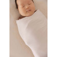 WildBird CloudBlend™ Swaddle - Sparrow - Bambi Baby